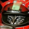 Ácido José's profile picture