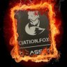A.F.C Association Fox Center ONG 🏴☠️'s profile picture