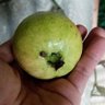 Rodi Mufrodi 的头像