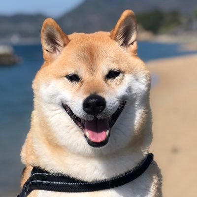 kogudon2990's profile picture
