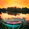 Фото профиля priya