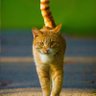 king25 profil fotoğrafı