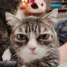 DiterM356 profil fotoğrafı