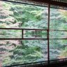 レモネード 的头像