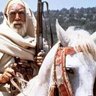Фото профиля صقر الفيتوري