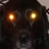 Liz's profile picture