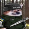 Juhani Vehviläinen Deep NAFO🏴‍☠️🦜 profil fotoğrafı