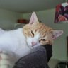 Juan- E.'s profile picture