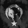 Ercan PEKTAŞ🇹🇷 (𐱅𐰇𐰼𐰚)'s profile picture