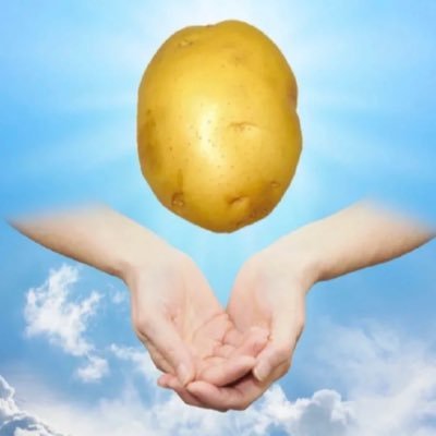 Lovepotato_o's profile picture