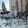 Profilbild von خلف الزهراني