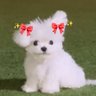 华夫饼🧇=͟͟͞ ♡̶'s profile picture