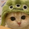 吃瓜群众's profile picture