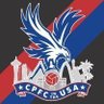 CPFC in the states 🦅's profile picture