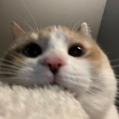 gddrdskcd's profile picture