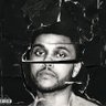 Zara's profile picture