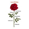 PurnaChandra Patnaik's profile picture