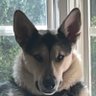 RA's profile picture