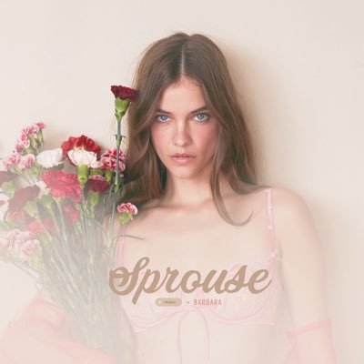 Barbara Palvin Access's profile picture