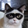 Sume profil fotoğrafı