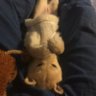 å
µ profil fotoÄrafı