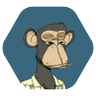 Katie Koch's profile picture