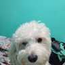 cleire franco's profile picture