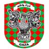 Фото профиля Brave GAZA