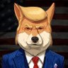 DTI - Donald Trump Inu profil fotoğrafı