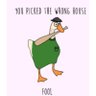 Profilbild von Chaitin's goose