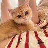 漠北森林 profil fotoğrafı