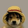 Profilbild von Ruzz wanna hug you