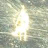 sLic_papa's profile picture