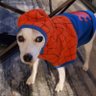 Profilbild von Spider Dog