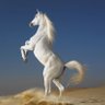 Profilbild von حمود