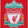 GODFADA 🇬🇧🇬🇭 LFC profil fotoğrafı