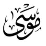 Profilbild von موسى