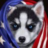 LyseeMOstL's profile picture