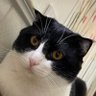 Sun yan's profile picture