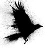 Zarathustra profil fotoğrafı