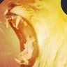 Magnify7777777's profile picture