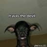 absurdly's profile picture