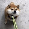 Charliexp's profile picture