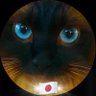 Фото профиля "𝒖𝒔𝒂"𝒔𝒂𝒏 🐈⬛.*˚