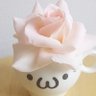 Profilbild von 🌻🌴おむすび山脈🌴🌻