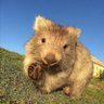 Profilbild von Hughesd