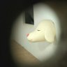 チャップ profil fotoğrafı