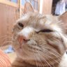 ☘️くろこ☘️ 的头像
