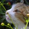 exyginf profil fotoğrafı