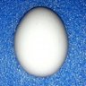 山咲 智哉 profil fotoğrafı